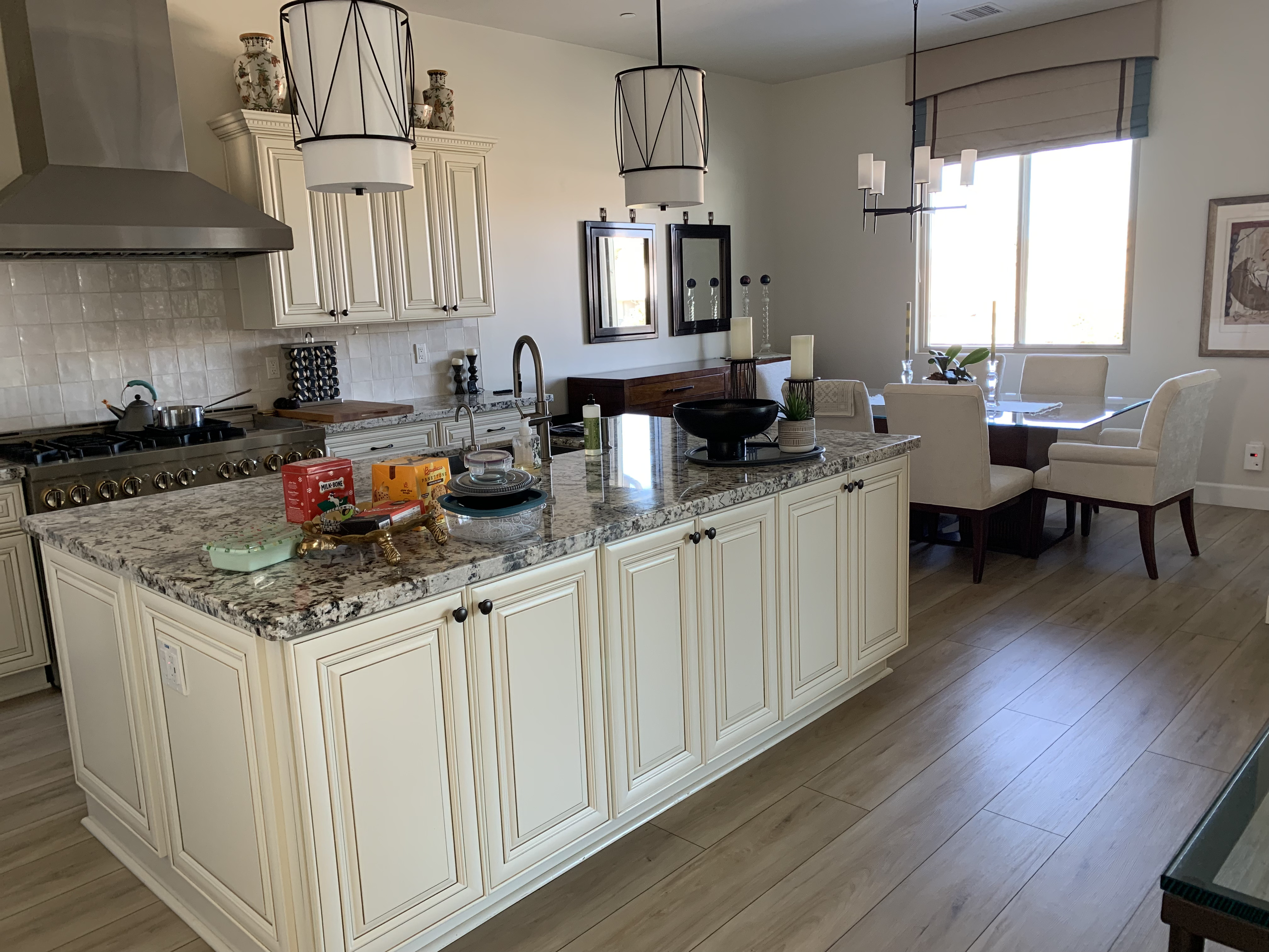 Professional cleaning service example 4